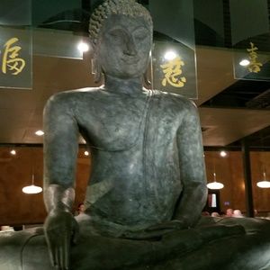 Meet your Posher, Shane